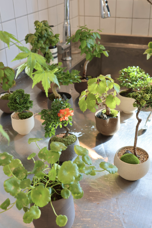 동아리 서브 이미지