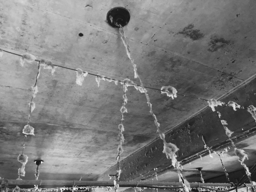 동아리 서브 이미지