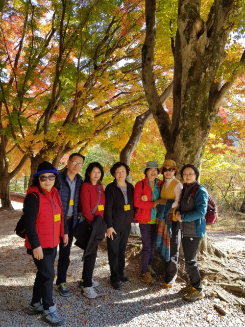 동아리 서브 이미지