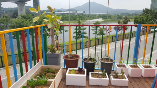 동아리 서브 이미지