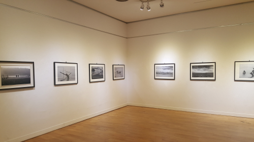 동아리 대표 이미지