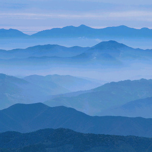 동아리 대표 이미지