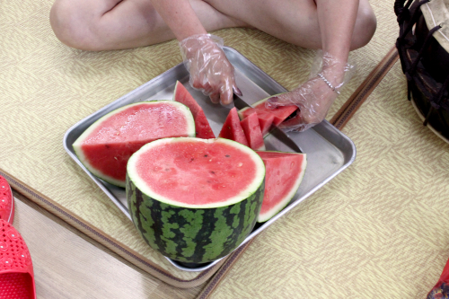 동아리 서브 이미지