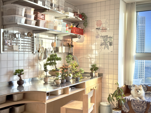 동아리 서브 이미지